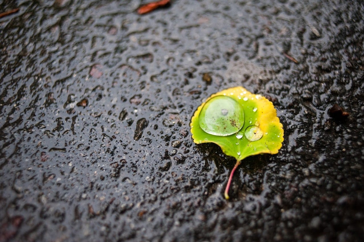 Rain Drop